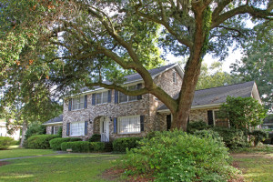 Beautiful home surrounded by great trees.