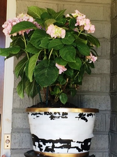 Add a cute planter and fresh flowers.