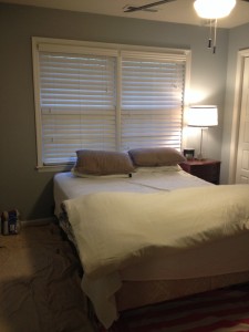 ORC Guest Bedroom Before
