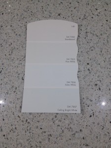 One of these colors will be my wall